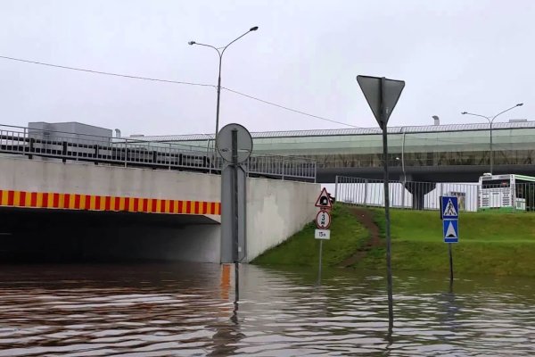 Значок кракена маркетплейса