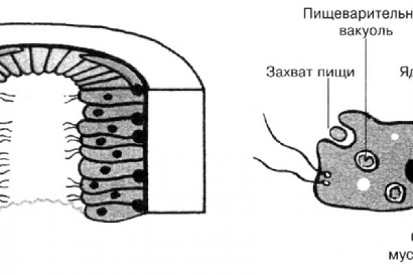 Vk8 at кракен рабочий