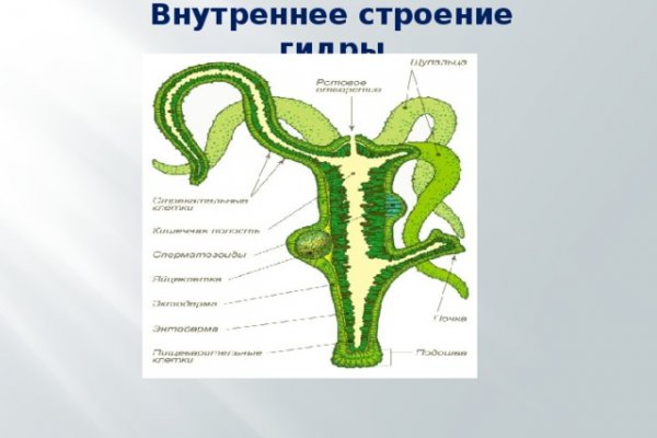 Как зайти на сайт blacksprut blacksputc com